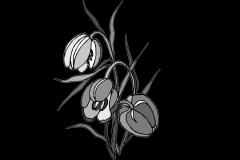 35